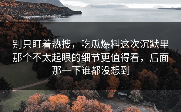 别只盯着热搜，吃瓜爆料这次沉默里那个不太起眼的细节更值得看，后面那一下谁都没想到