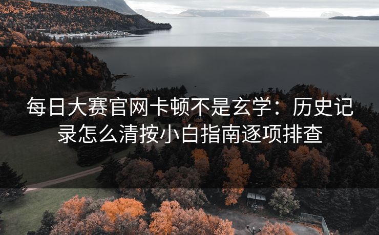 每日大赛官网卡顿不是玄学：历史记录怎么清按小白指南逐项排查
